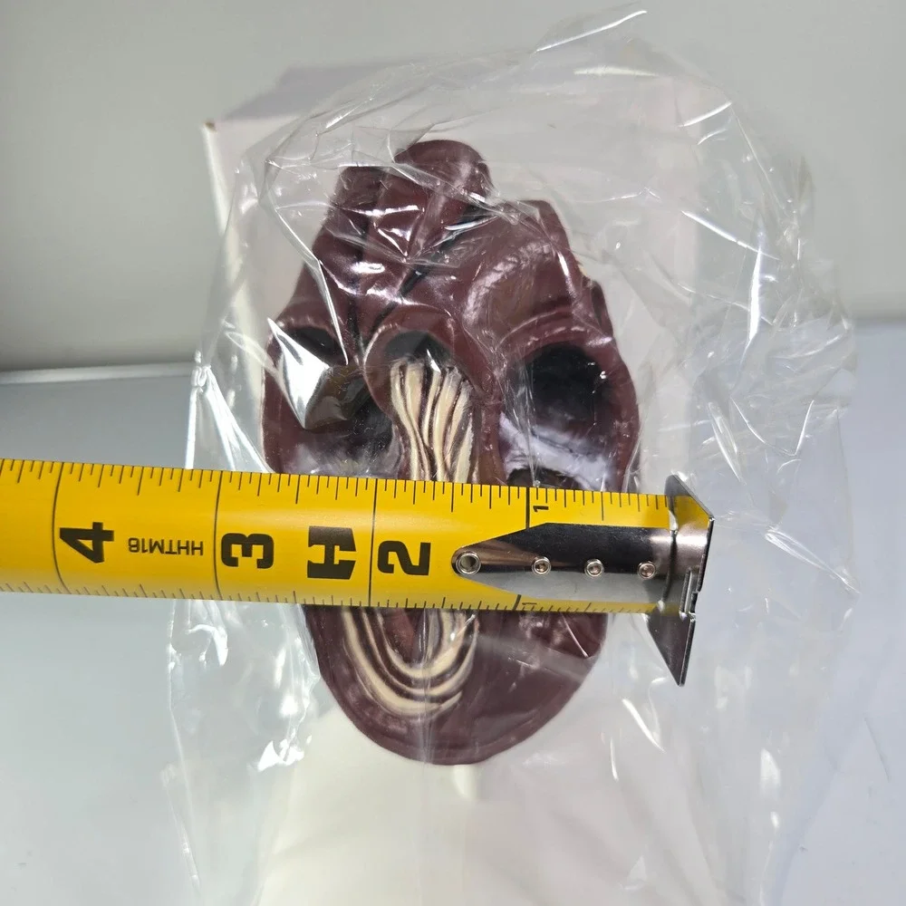 Banfield Heart Model Anatomical Model with Labels Veterinary Dog‎ Cat